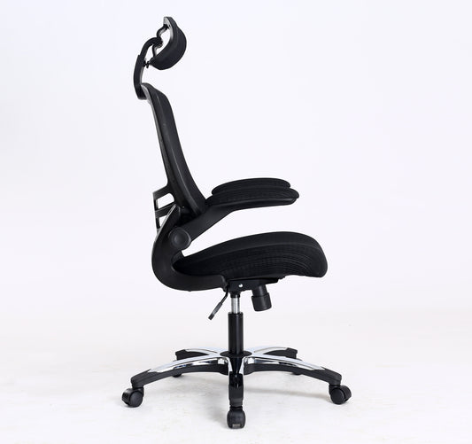 ErgoMesh Office Chair